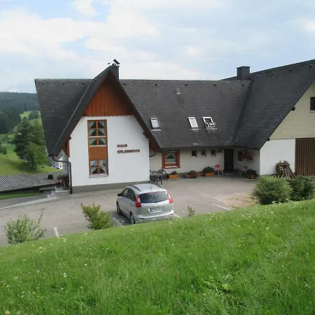 Haus Erlenmoos 아파트