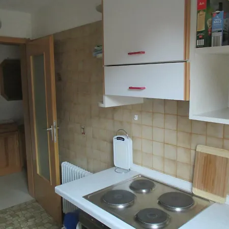 Haus Erlenmoos Apartment