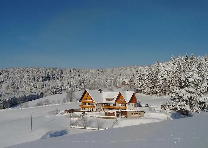 Haus Erlenmoos Lejlighed Sankt Georgen im Schwarzwald